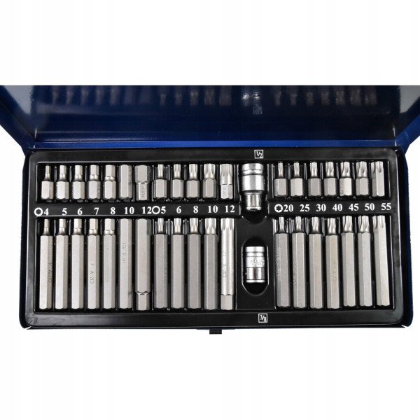 Набір біт 10мм HEX, TORX, SPLINE 40од. Стандарт (SDBS0040)